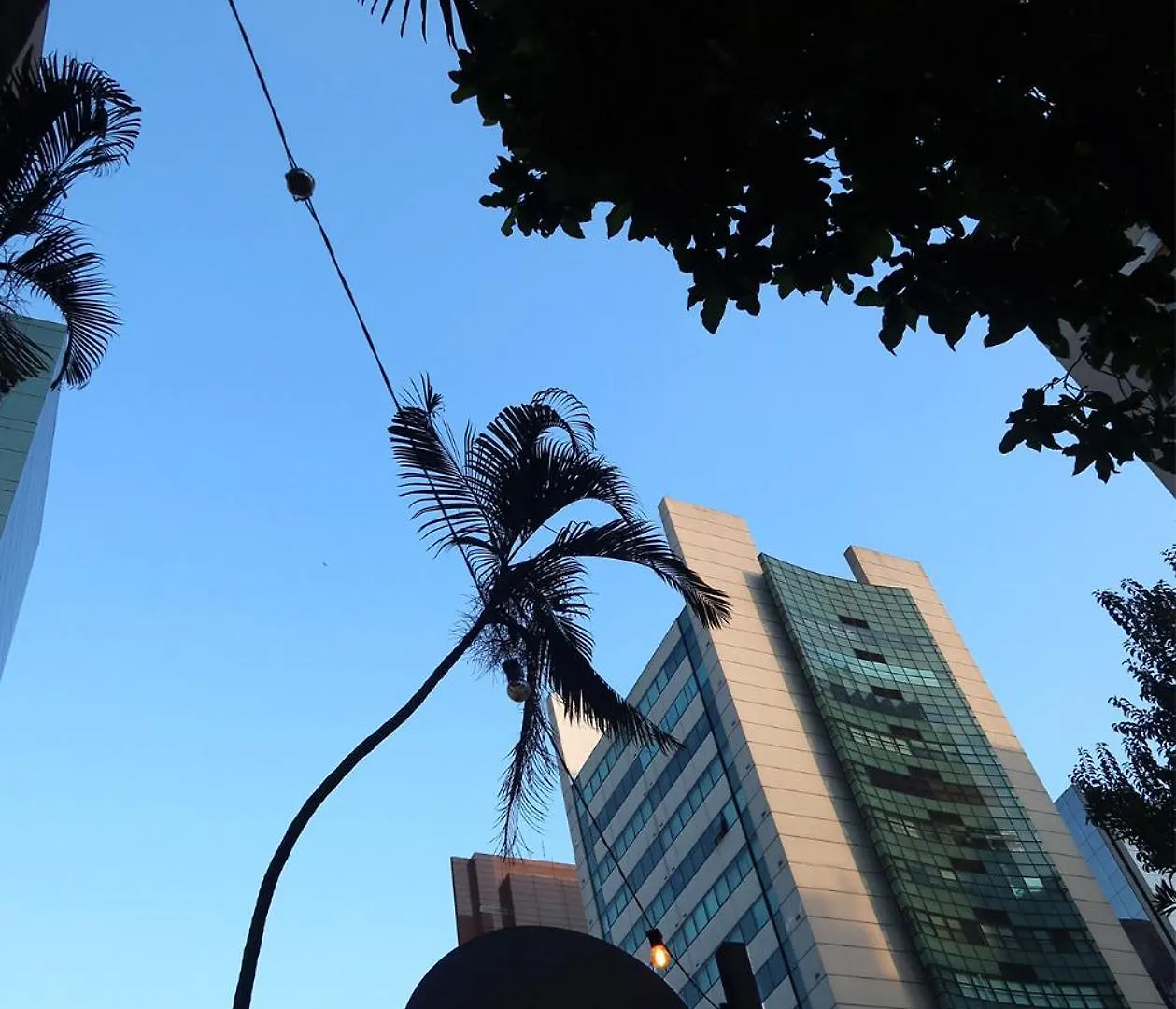 Capcana Hotel Jardins São Paulo Brésil
